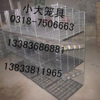 售鸡笼子 鸽子笼 兔子笼 竹鼠笼 鹌鹑笼 运输笼 狗笼 鸟笼