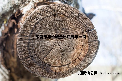 进口木材到广东从哪个港口进比较好