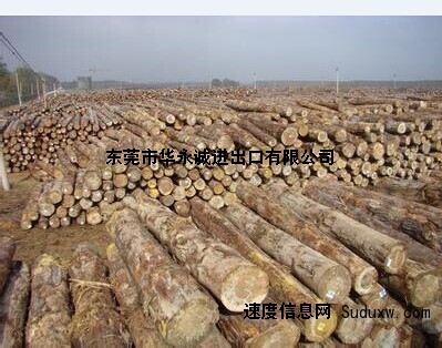 佛山木材进口流程