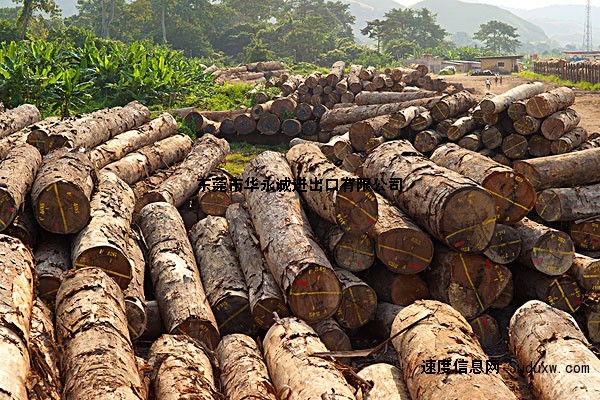 广东地区木材进口从哪个口岸进