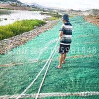 河南河道抗冲生态毯 加筋环保型 河道陡坡抗冲刷型植生毯