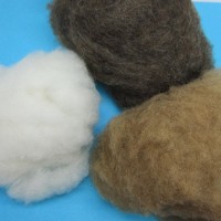现货销售绵羊绒 优质羊绒 免费拿样品