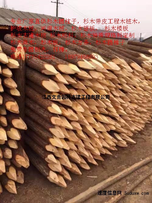专业厂家直供 杉木带皮工程木桩木 护坡木桩 河道木桩
