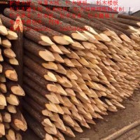 专业厂家直供 杉木带皮工程木桩木 护坡木桩 河道木桩