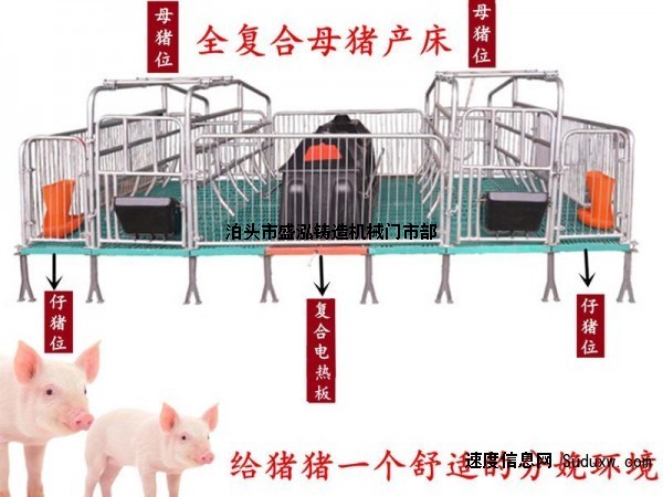 母猪产床双体产床塑料保温箱猪位70誉嘉畜牧厂家现货