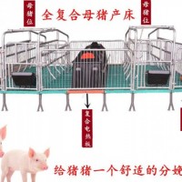母猪产床双体产床塑料保温箱猪位70誉嘉畜牧厂家现货